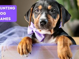 Naming Your Hunting Dog
