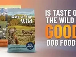 Taste of the Wild Dog Food