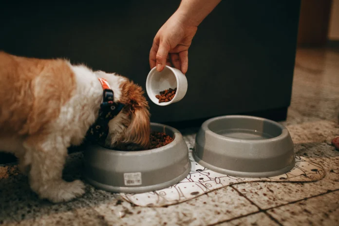 Best Food for 2 Month Old Puppy: Complete Feeding Guide for USA Puppy Owners Best Food for 2 Month Old Puppy