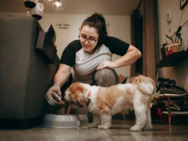 What Can I Feed My Dog to Gain Weight Fast? Write Everything What Can I Feed My Dog to Gain Weight Fast