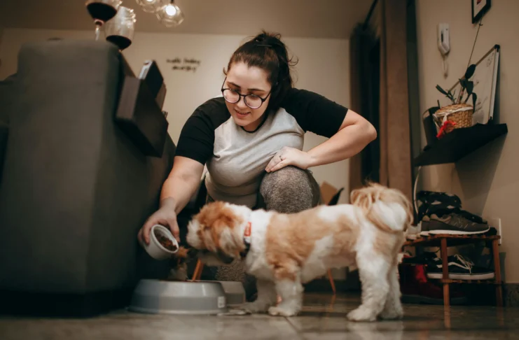 What Can I Feed My Dog to Gain Weight Fast